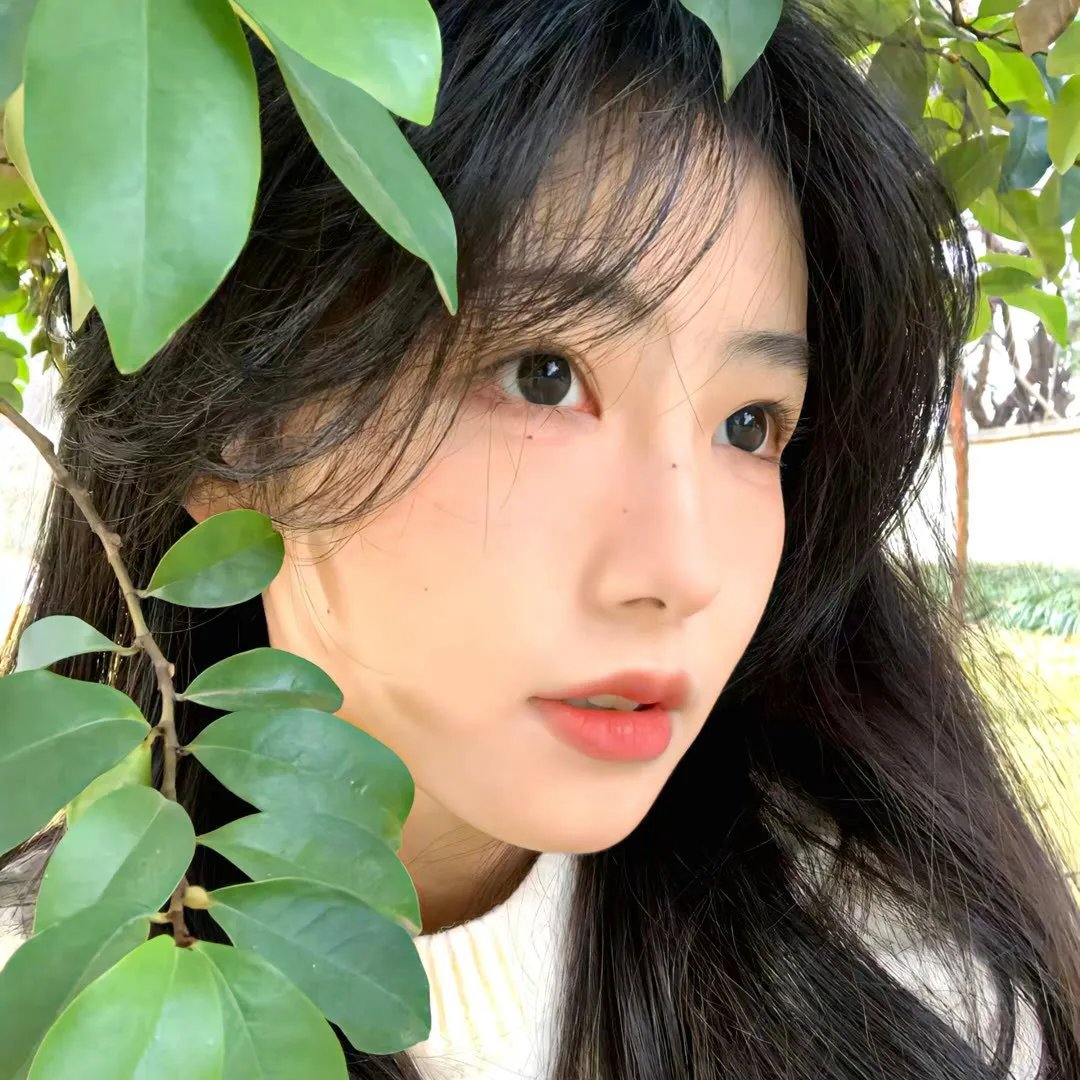 墓野魅影