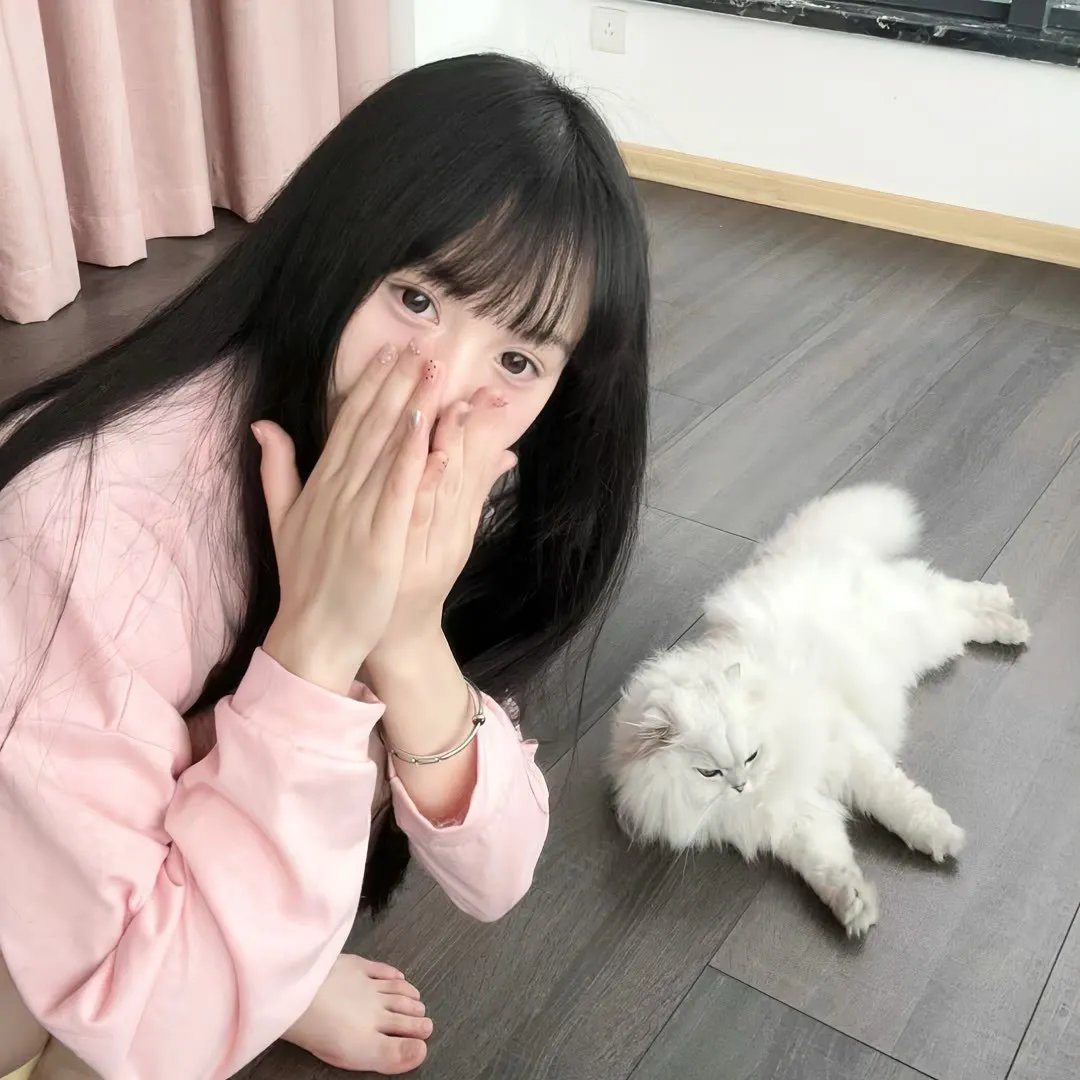 黑猫鲁道夫
